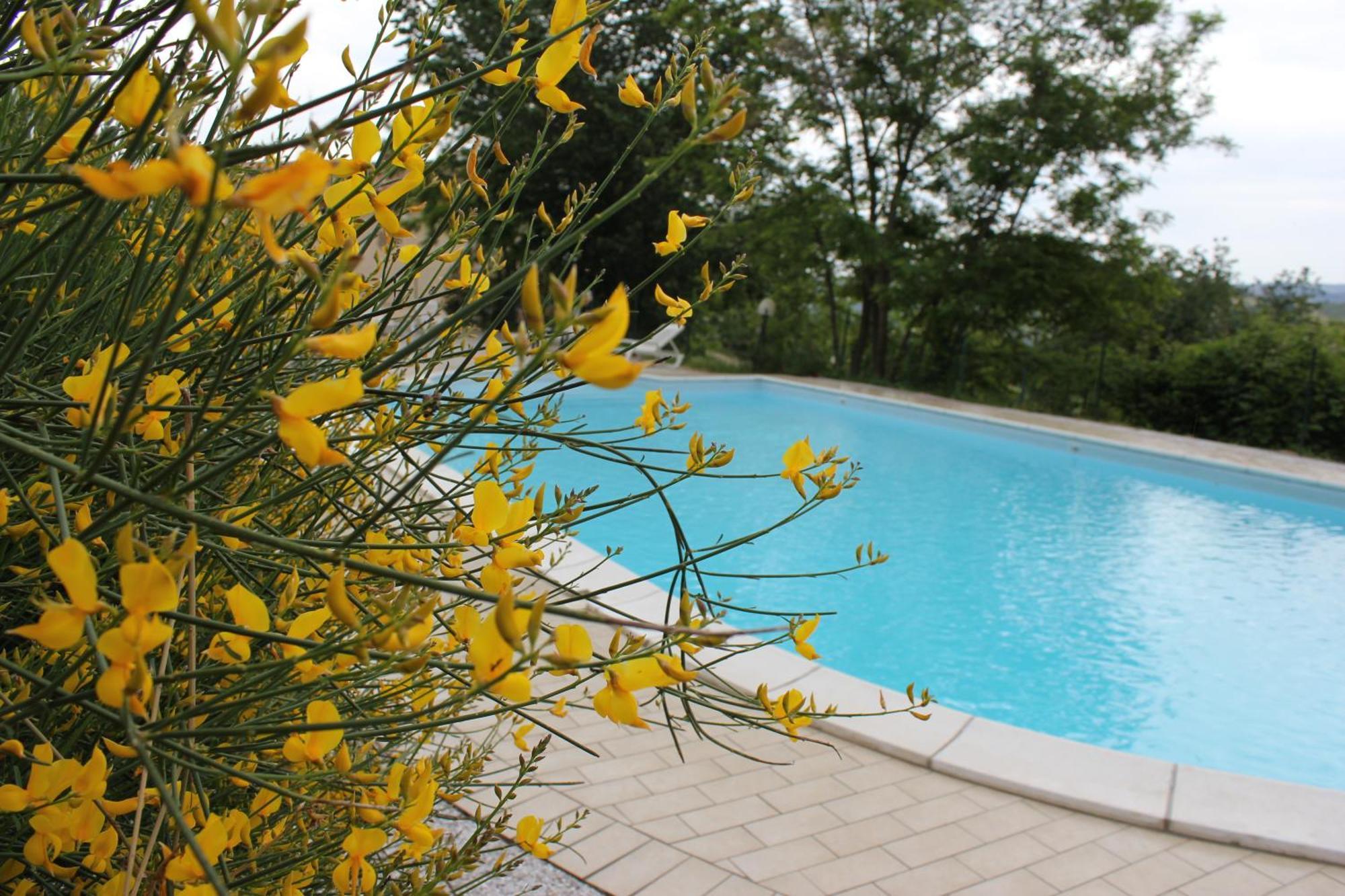 Agriturismo La Valle Del Vento Ουρμπίνο Εξωτερικό φωτογραφία