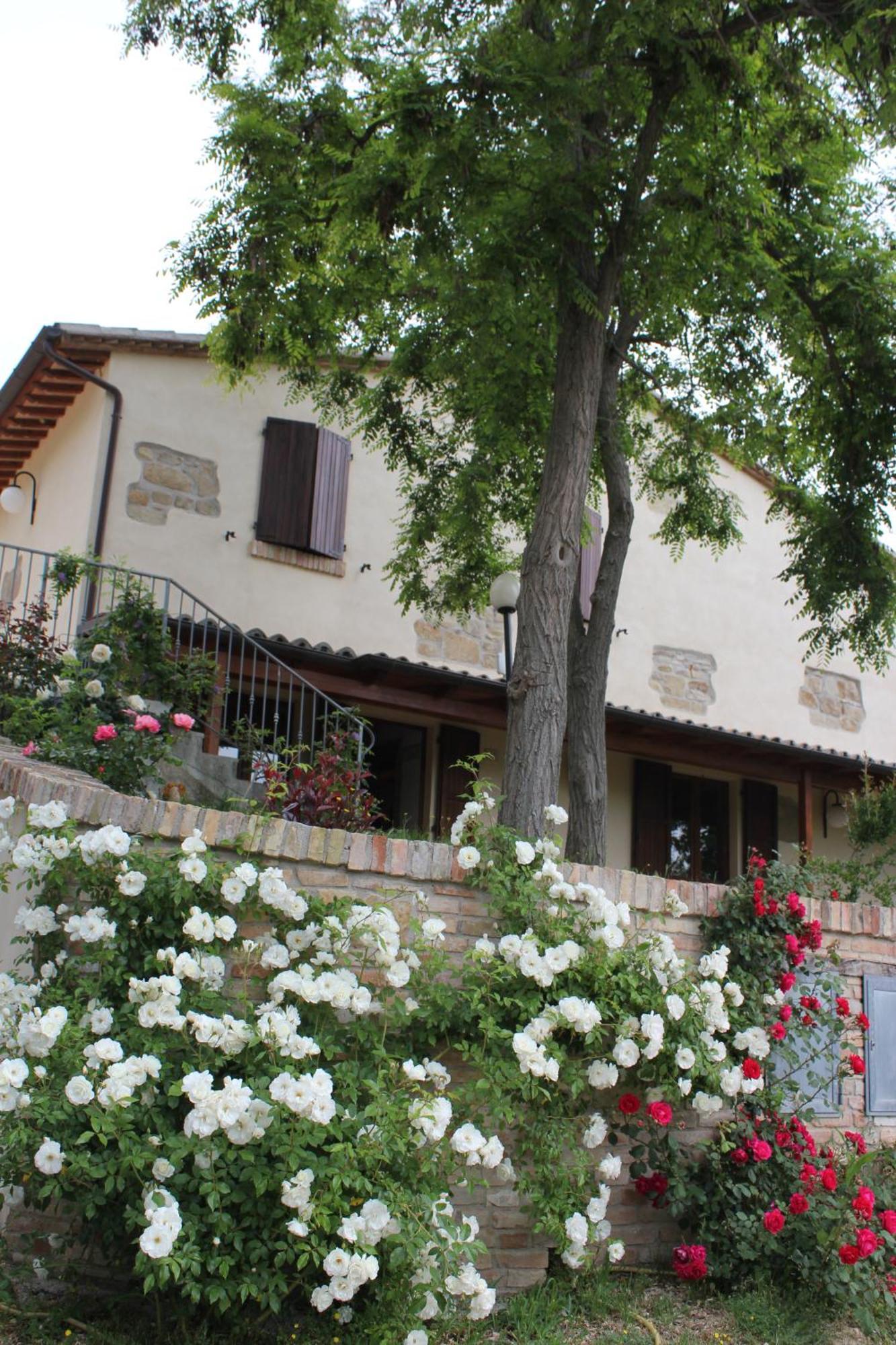 Agriturismo La Valle Del Vento Ουρμπίνο Εξωτερικό φωτογραφία
