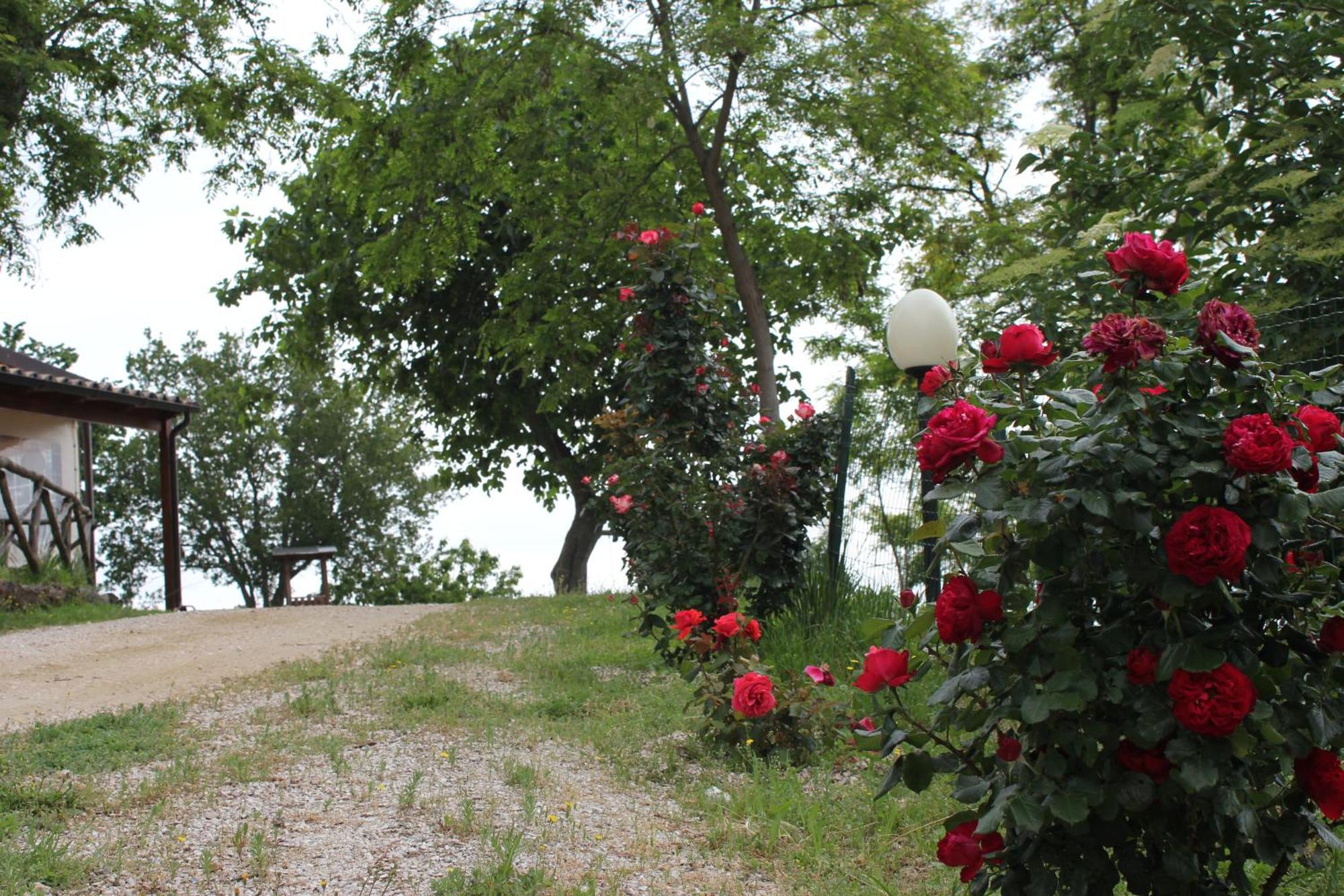 Agriturismo La Valle Del Vento Ουρμπίνο Εξωτερικό φωτογραφία